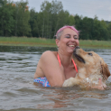 golden_retriever11.jpg