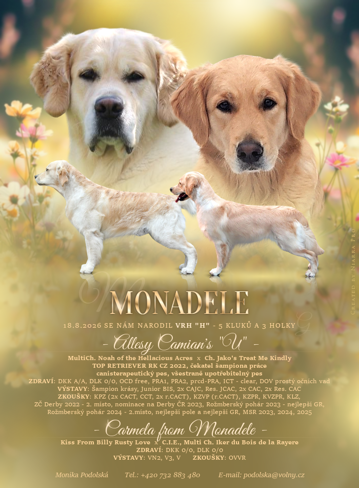 monadele vrh h gr letacek